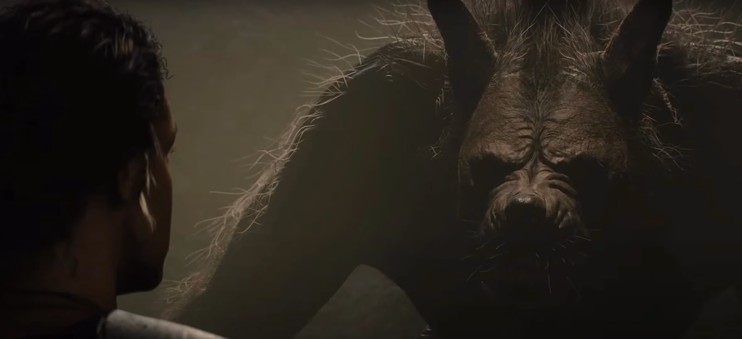 fable-s-delay-to-2026-my-thoughts-as-a-fan-and-why-it-could-be-worth-the-wait-image-1